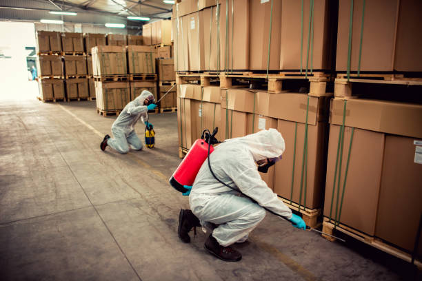 Pest Control for Restaurants in Mount Dora, FL