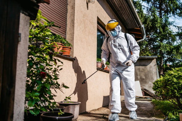 Best Emergency Pest Control  in Mount Dora, FL