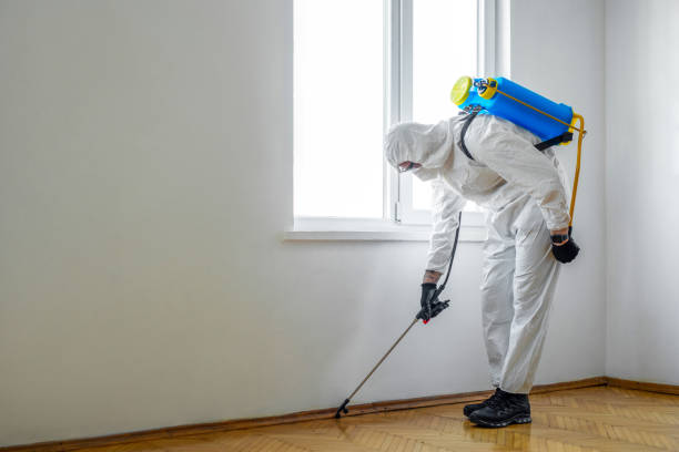 Best Wasp Removal Services  in Mount Dora, FL