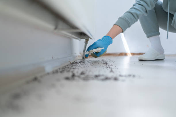 Best Residential Pest Control  in Mount Dora, FL